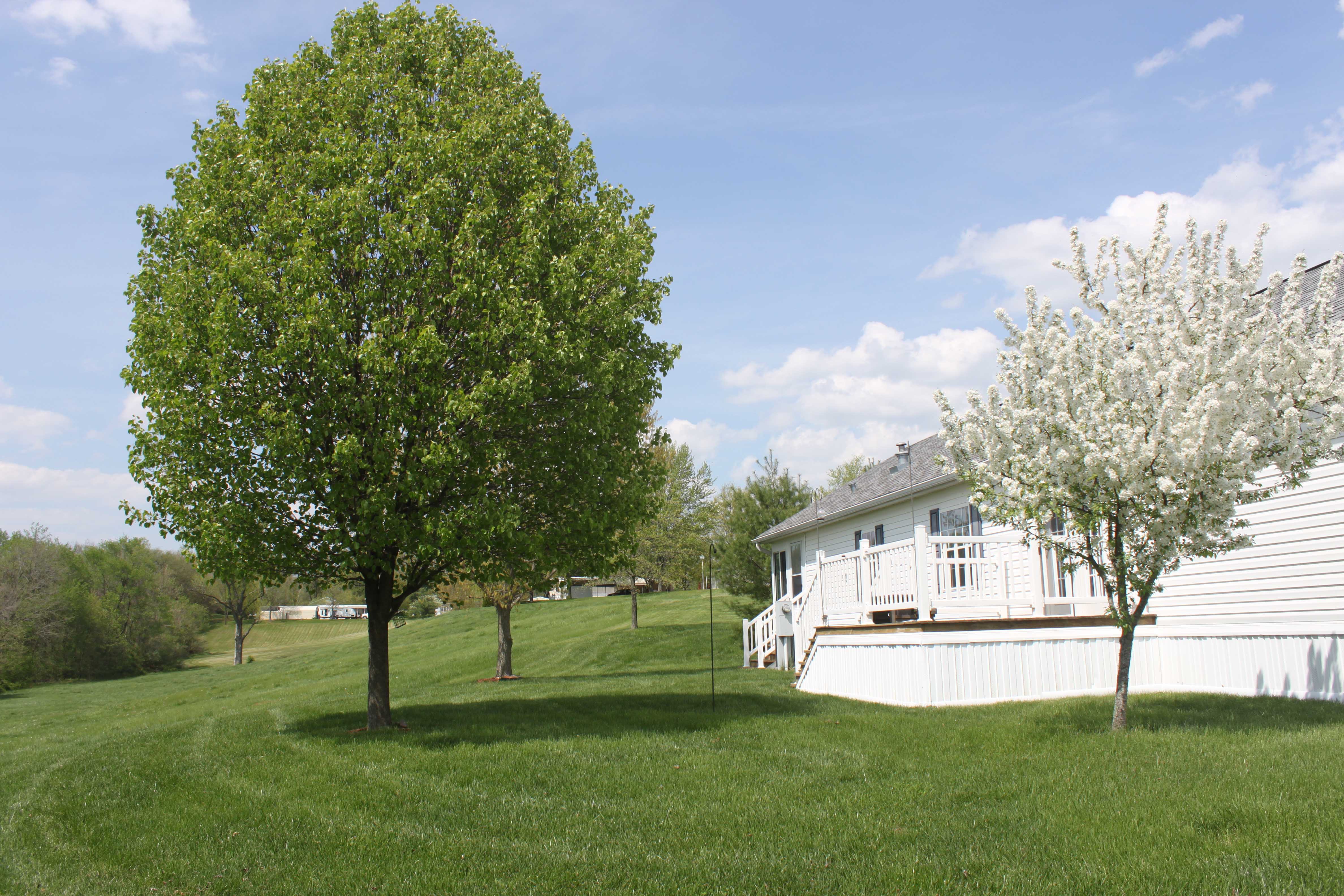Homes For Sale Glenwood